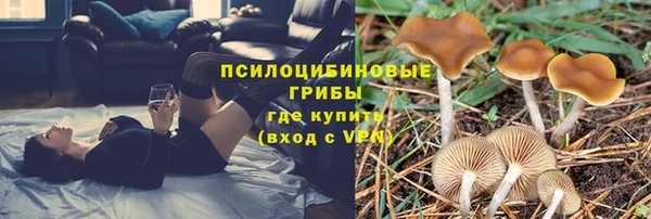 прущие крисы Пенза