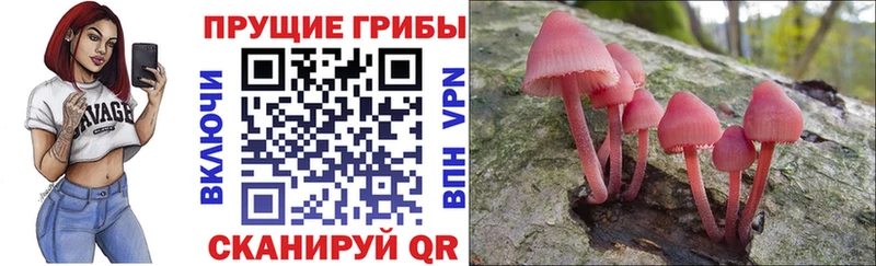 Галлюциногенные грибы Magic Shrooms  Билибино 