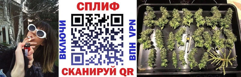 Бошки марихуана Amnesia  цены   Билибино 
